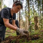 Umweltbaustelle Bergwald - Einen Schutzwald sanieren